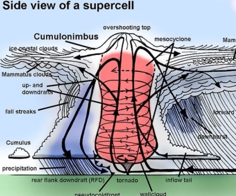 3 super cela-Wikipedie