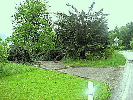 28 Trávník 2010