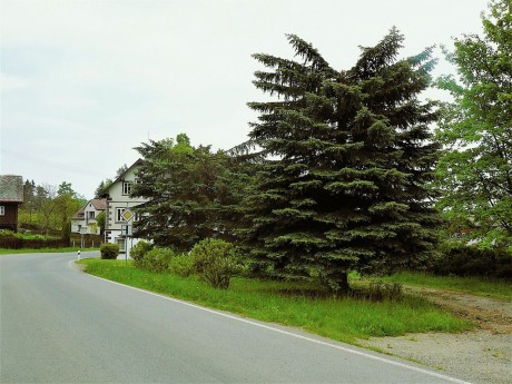 29 Trávník 2010