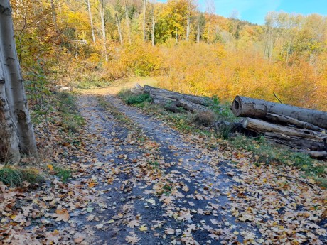 13 cesta nad zámečkem