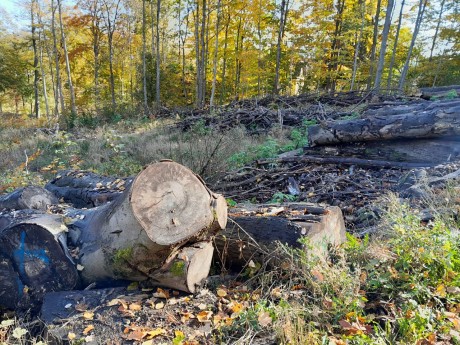14 úkryty pro broučky