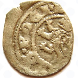 04 parvus 1346