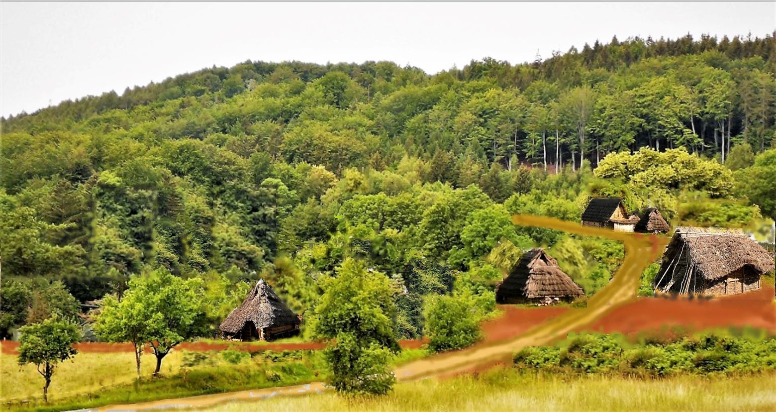 23středověkýTrávník 1300-