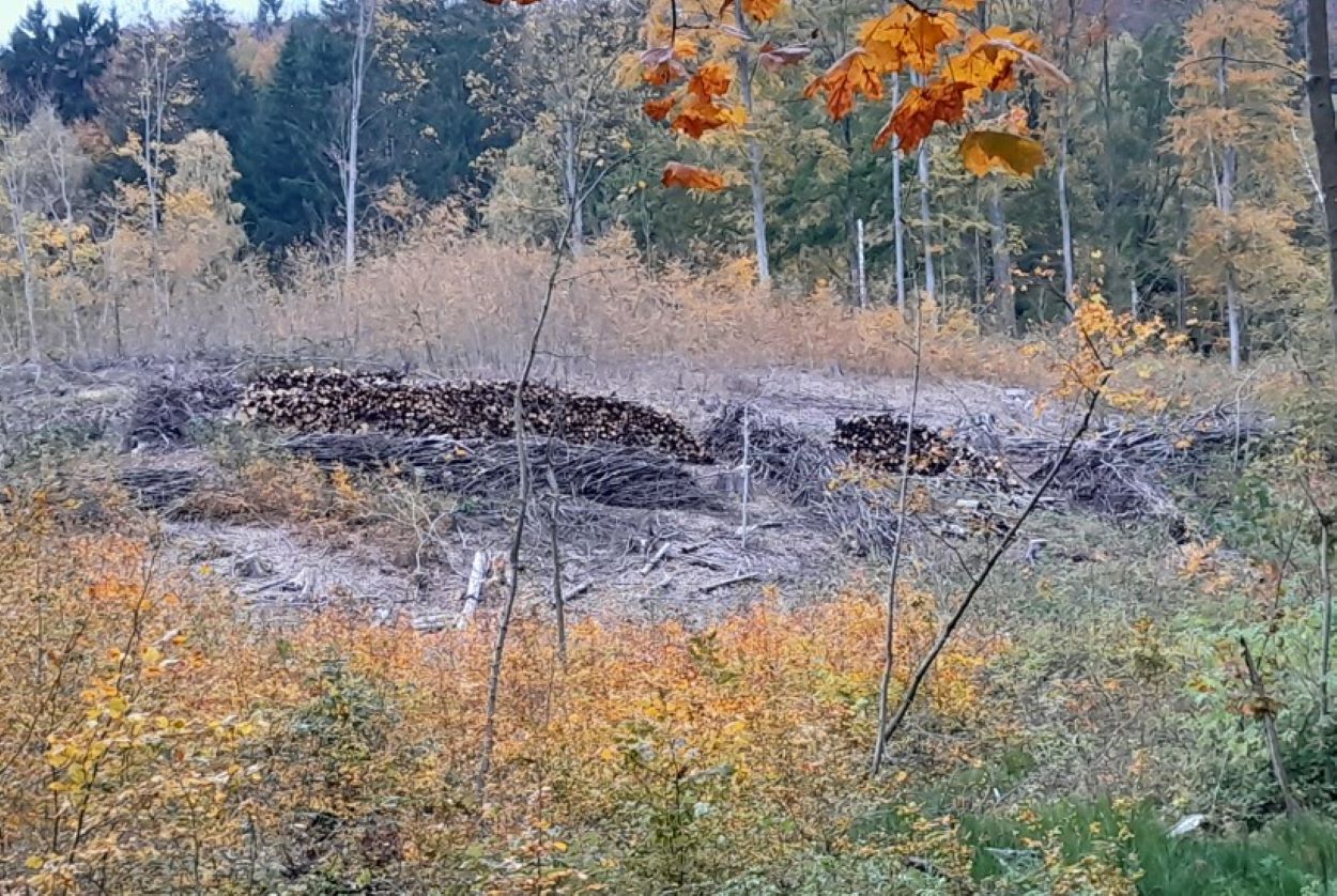 13 začíná být uklizeno