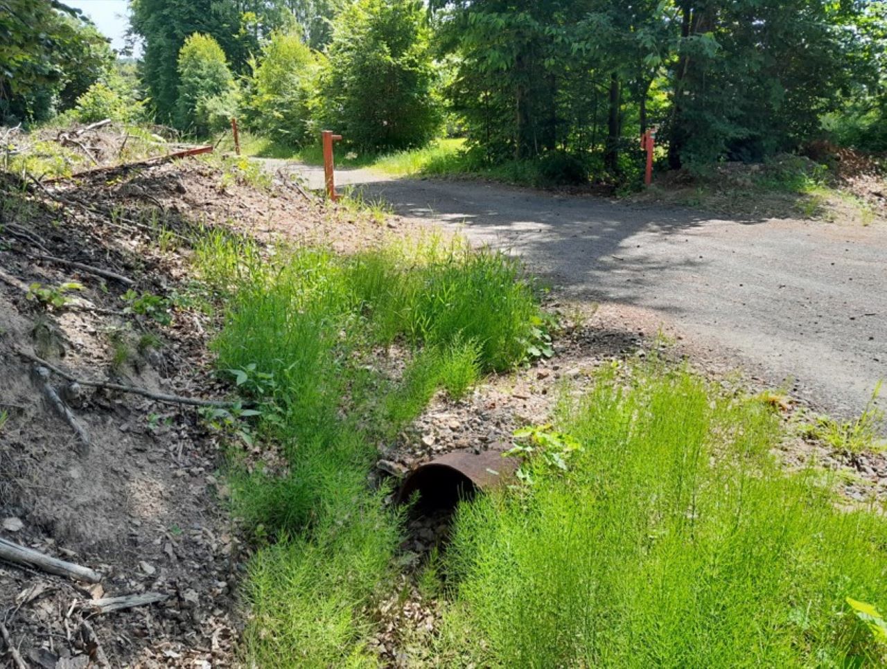 7 Naděje -odbočka na Milštejn 5