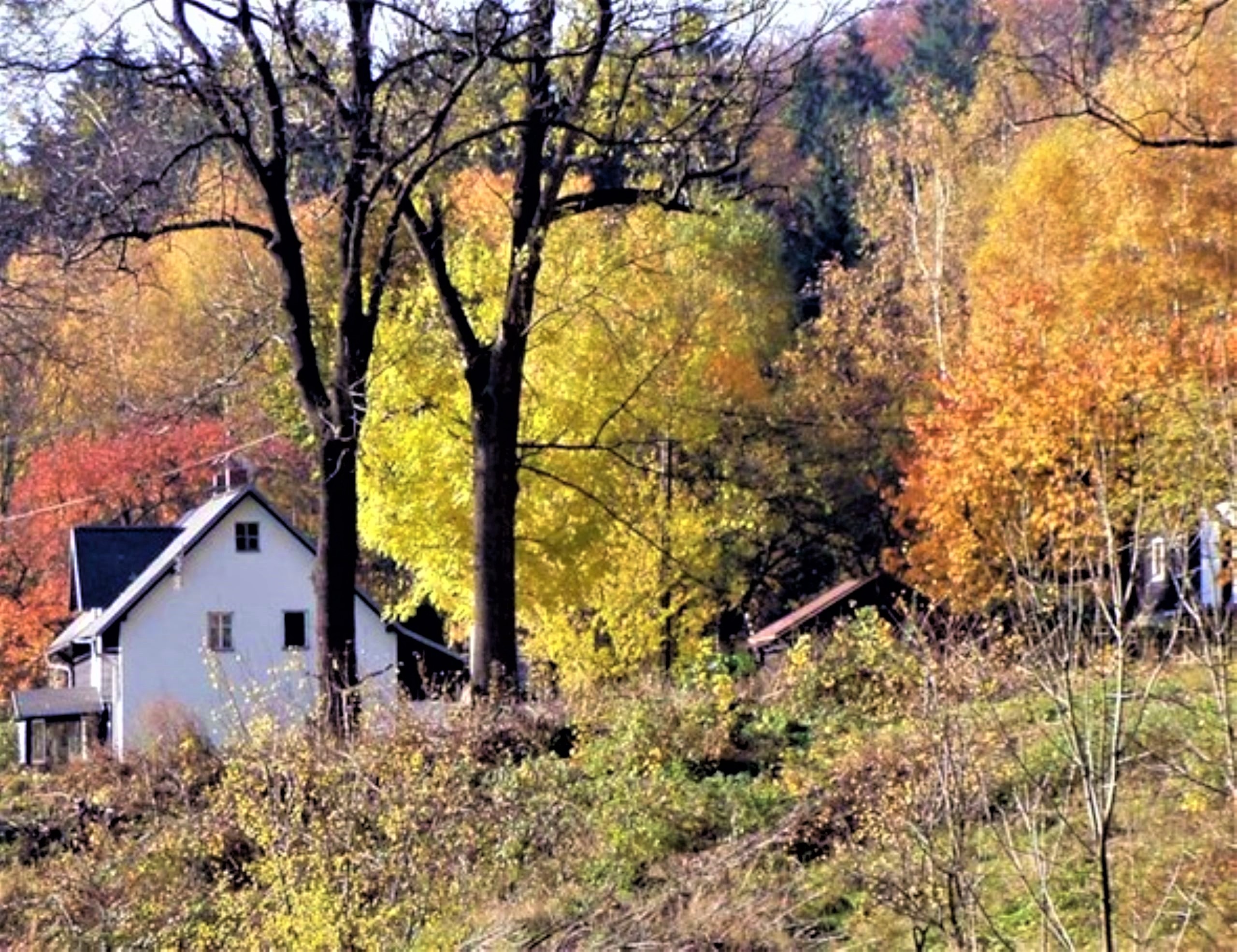 3-Jasan u Pokorných