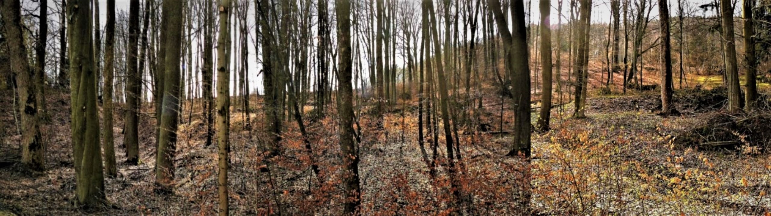 4 parkoviště -panorama