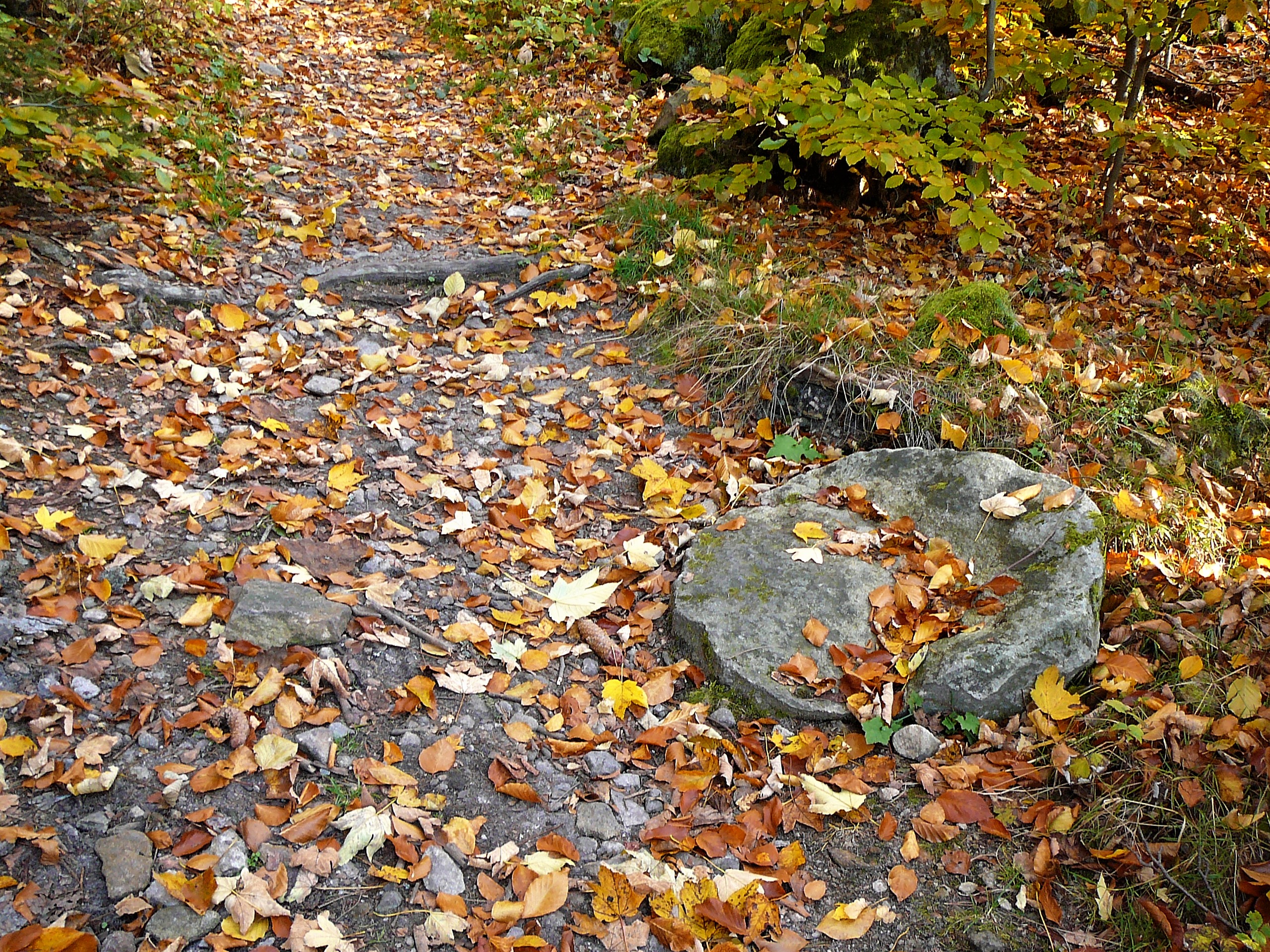 17 Milštejn 1