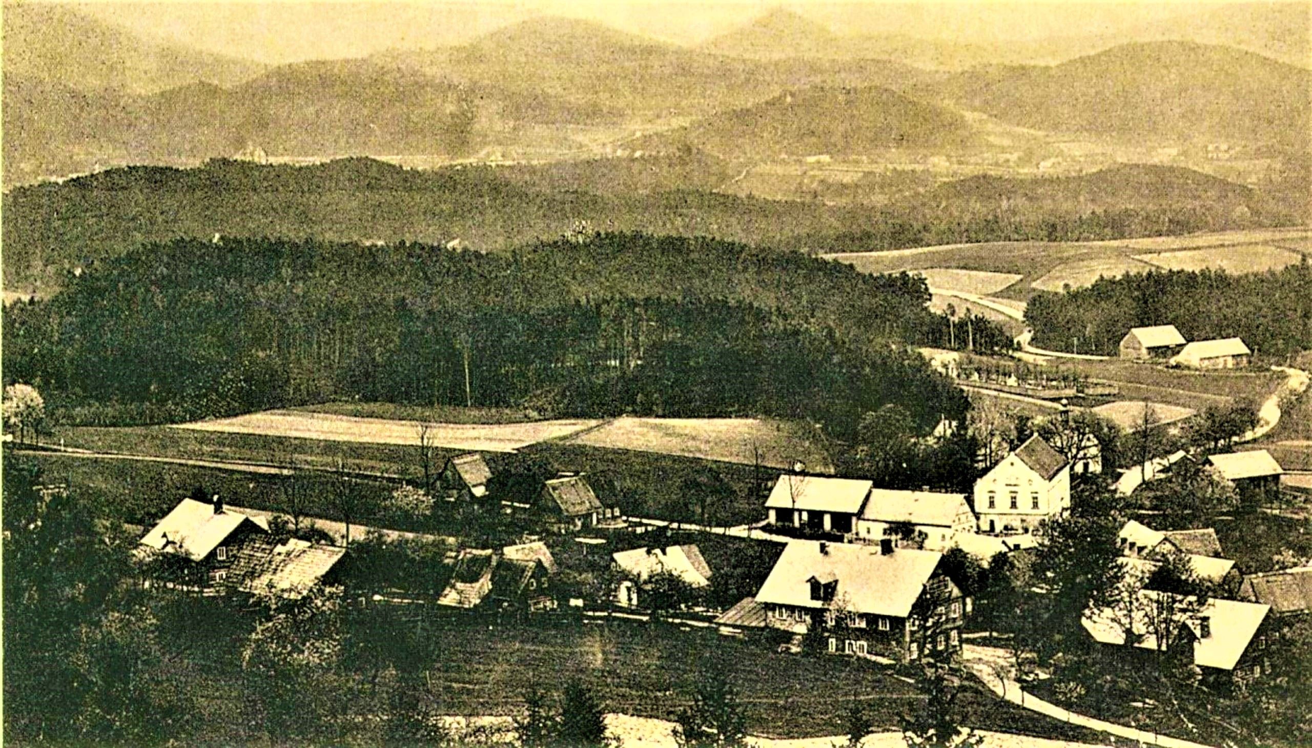 20 Trávník 1905