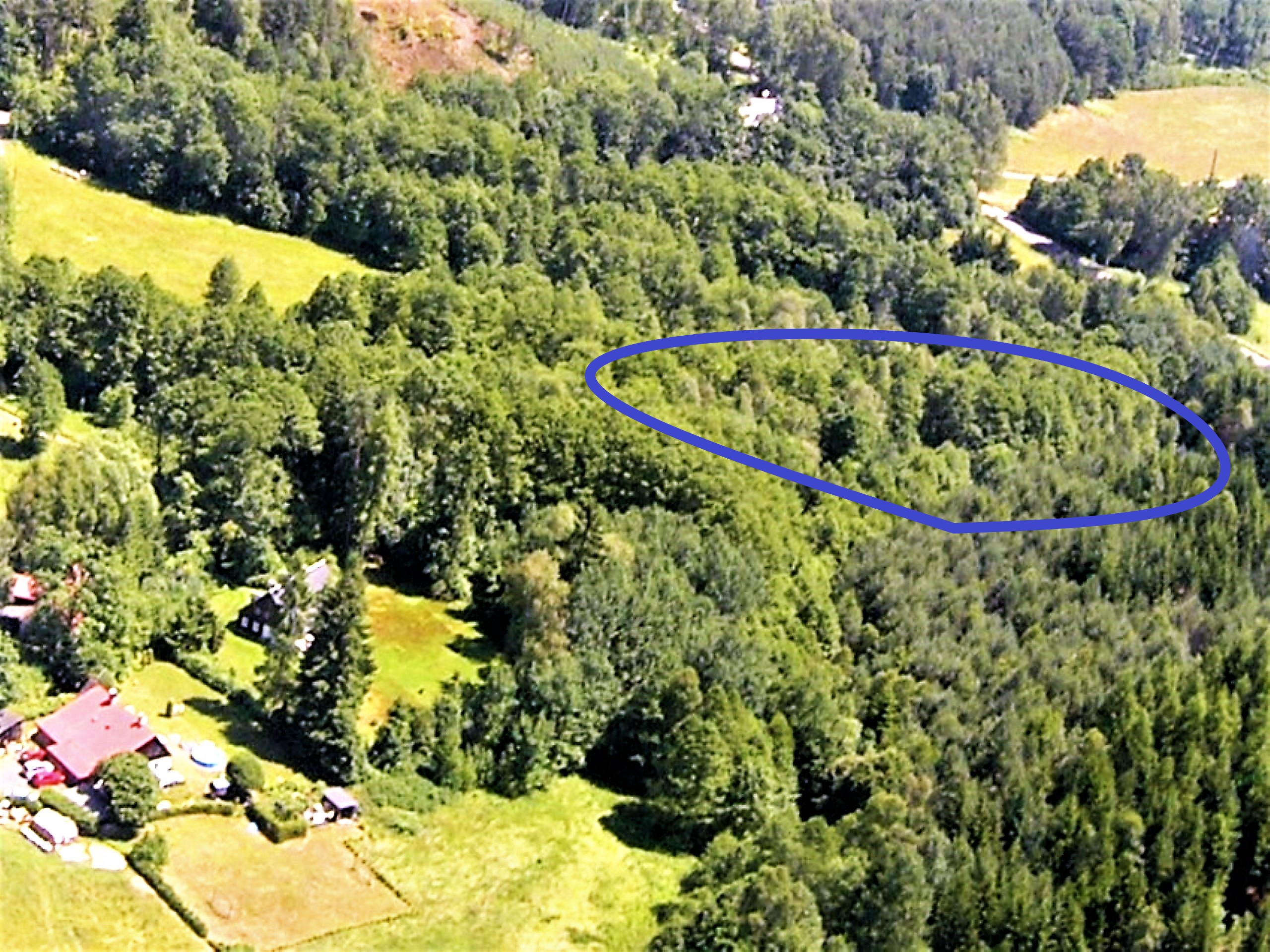 9 Rybník v Antonínově údolí 2