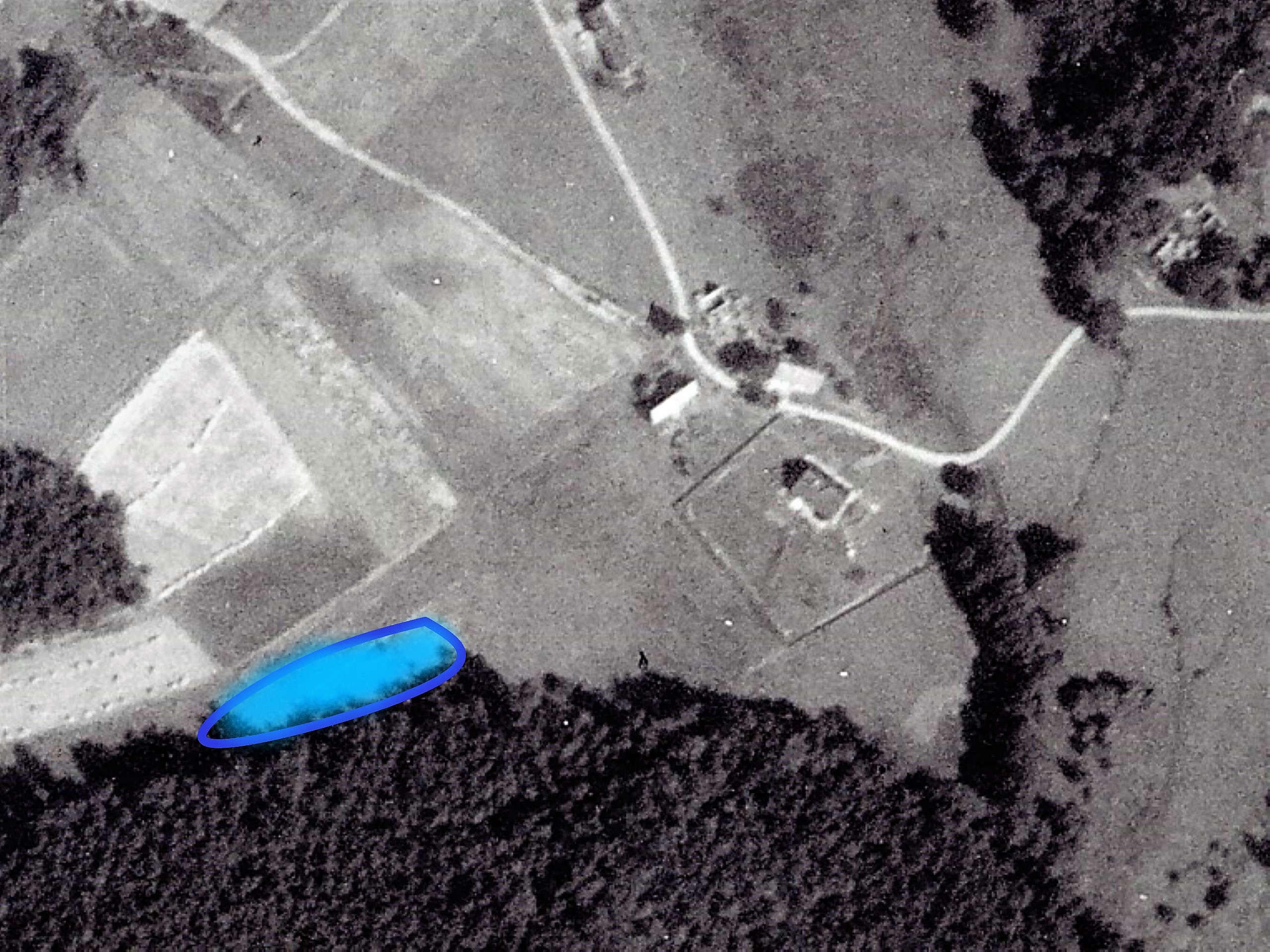 11 bažina T 7-50