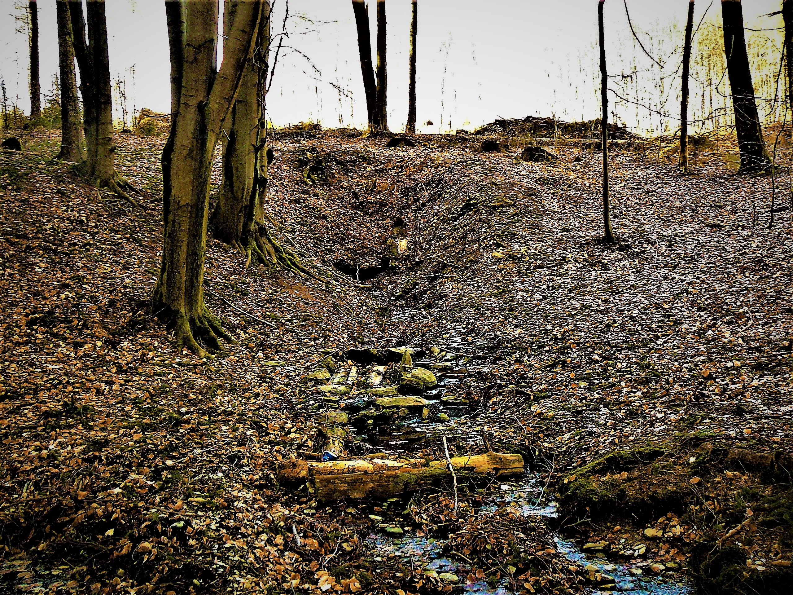 15-studánka na potoce