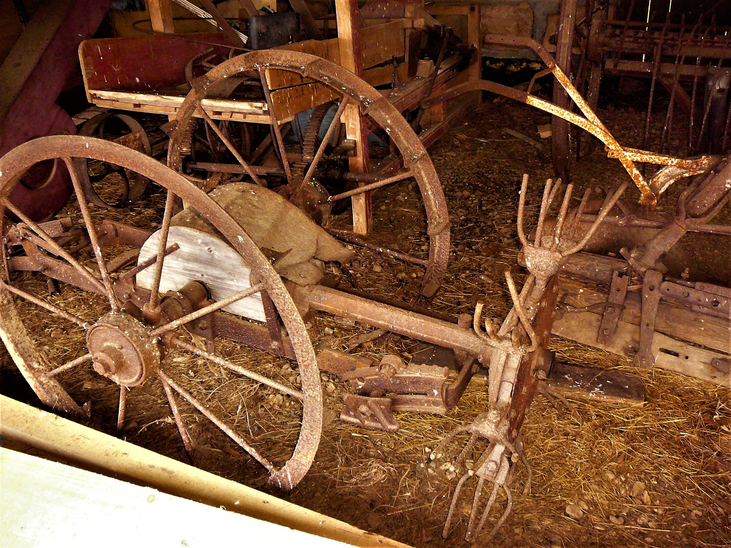 34 čert