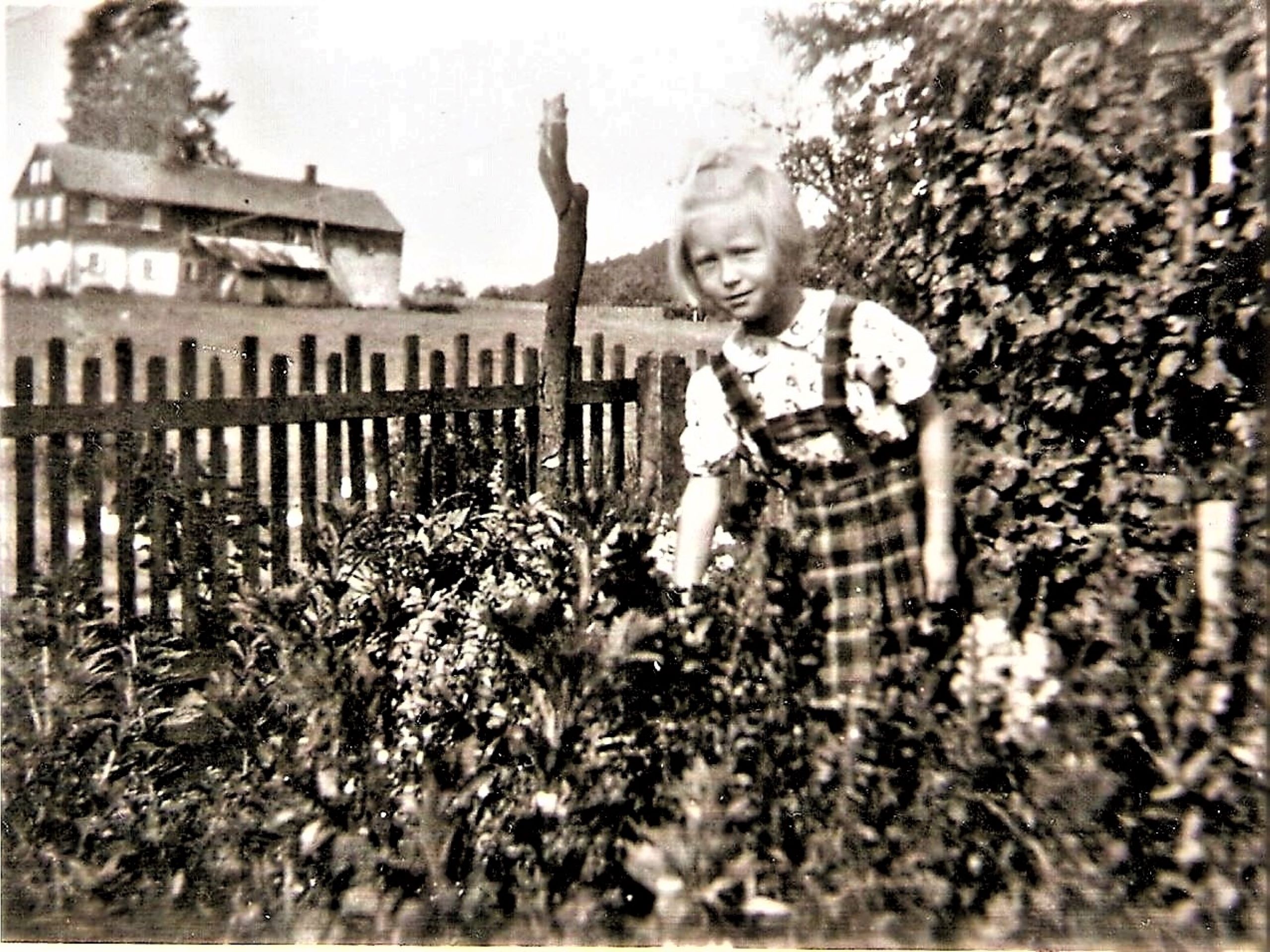 38 statek čp.35