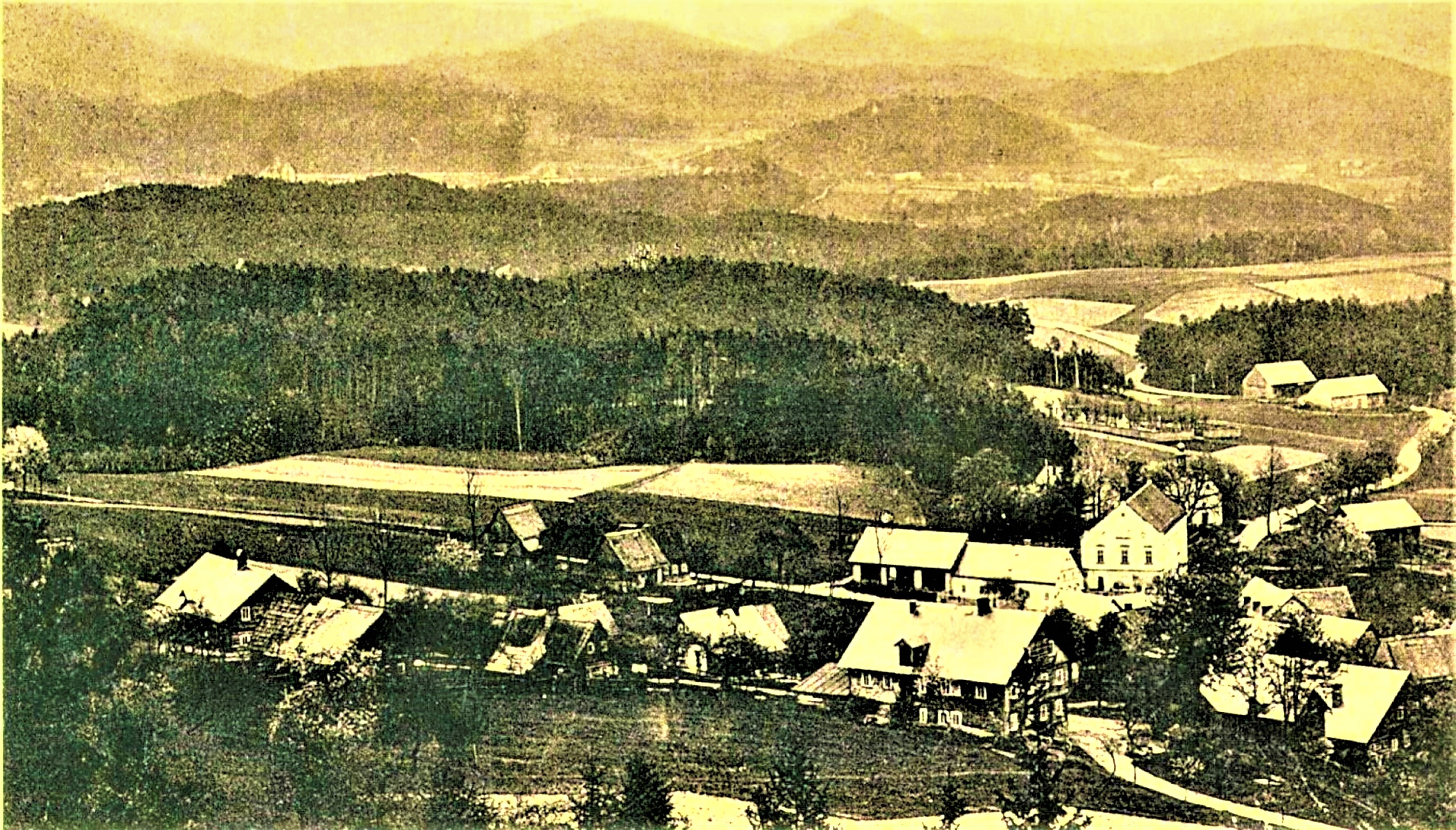 0 Trávník 1905zv 