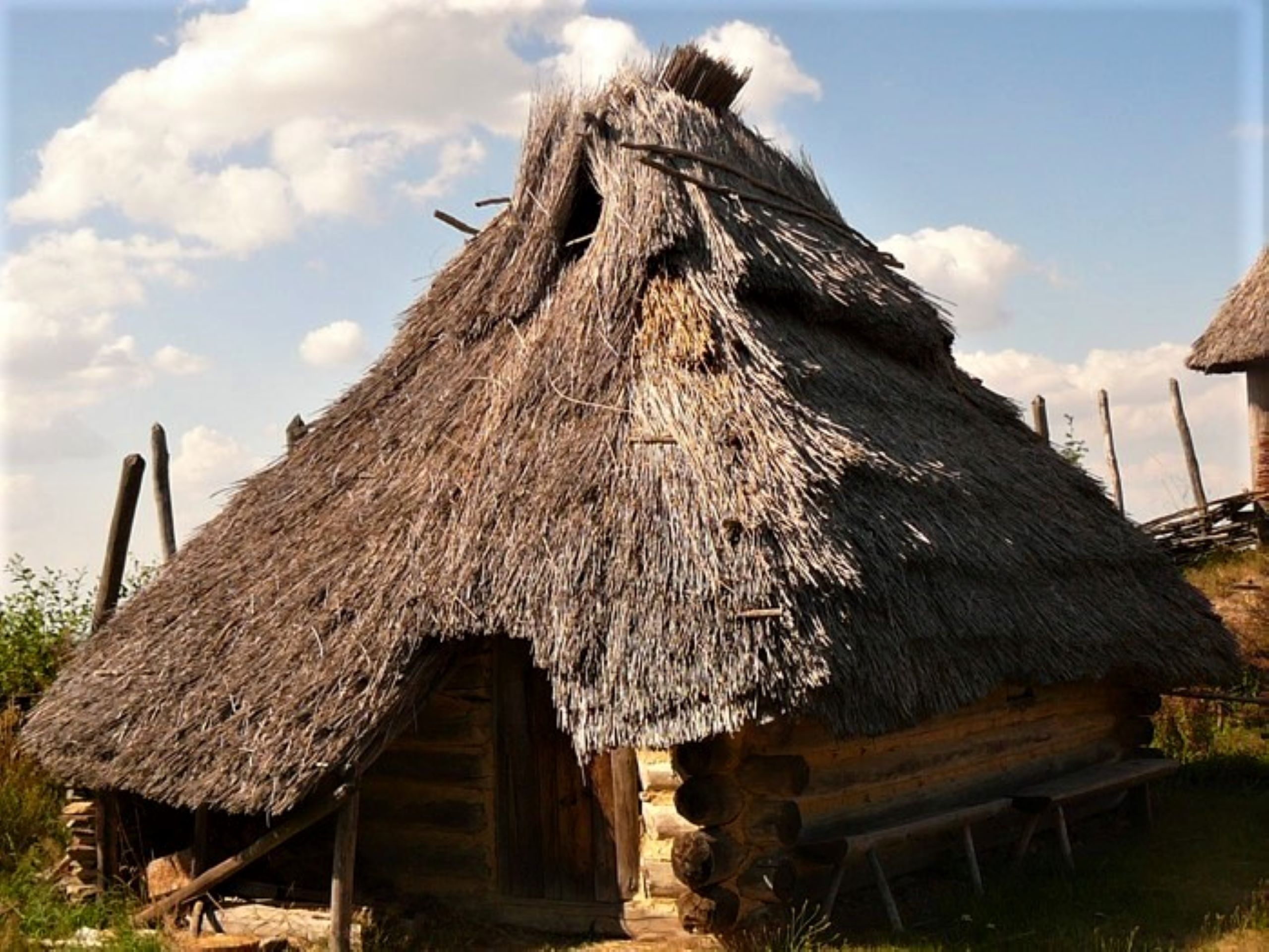 19 Vítkov