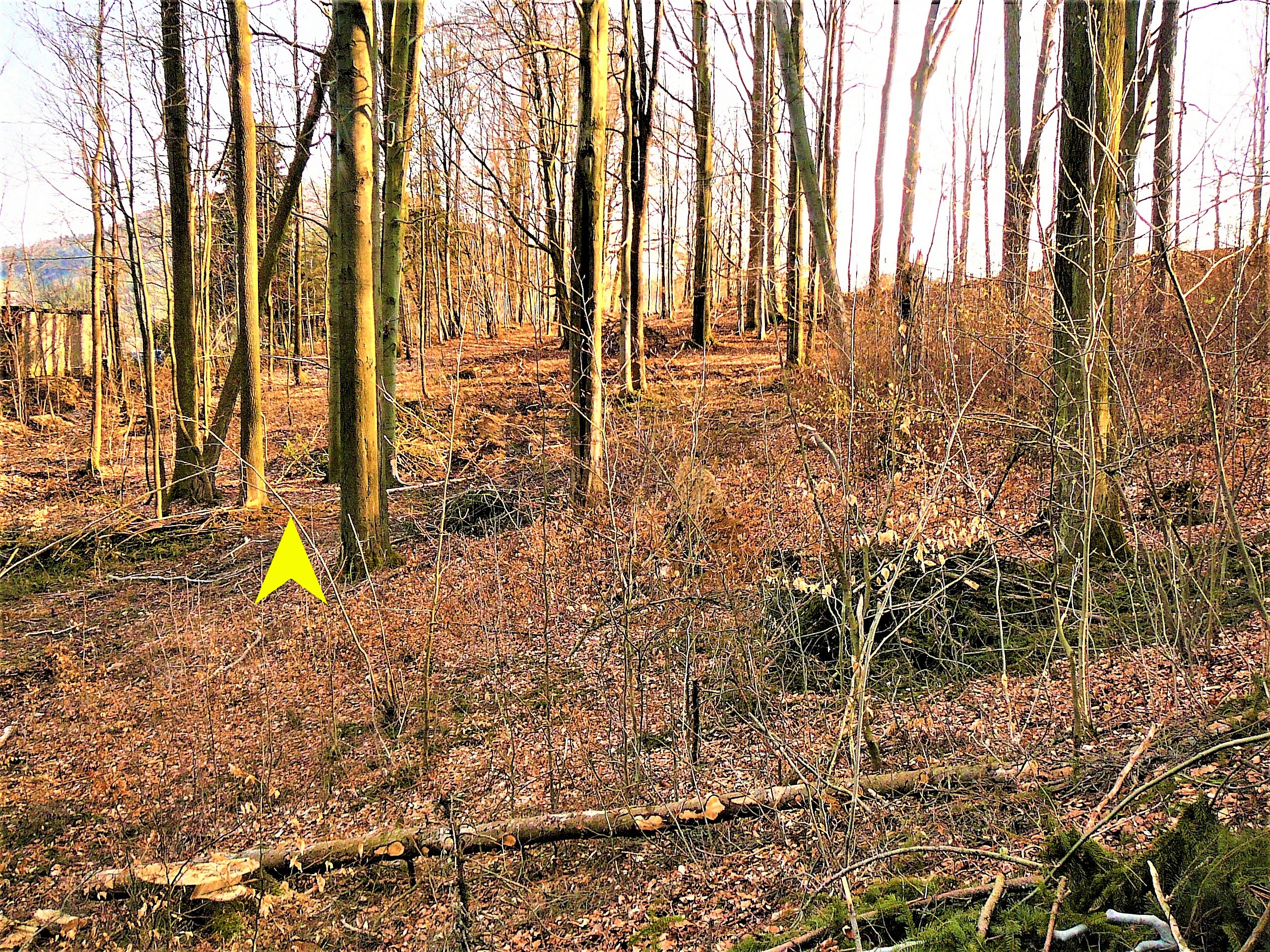 6a Obr. parcela č. 387