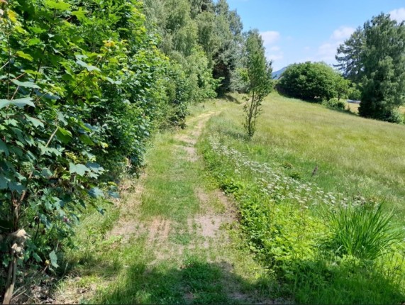 19-travnik--stav-cesty-pod-slepicarnou.jpg