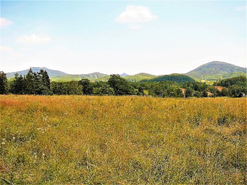 6-panorama-lh.jpg