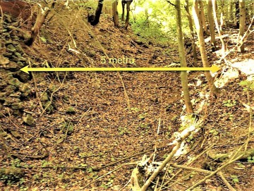 14-sirka-uvozu.jpg