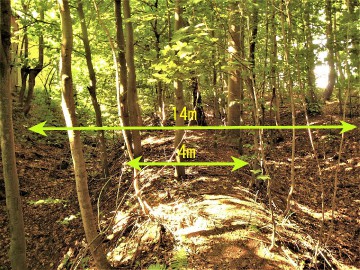 15-sirka-cesty.jpg