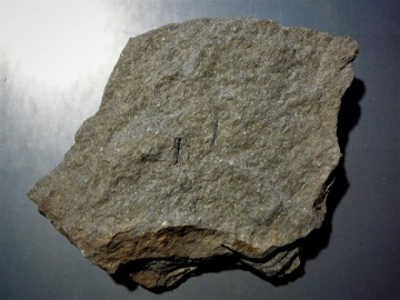 11-znelec-.jpg