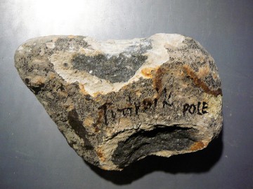 13-znelec---pole.jpg